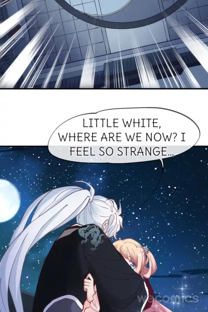 Page 41 of Chapter 47