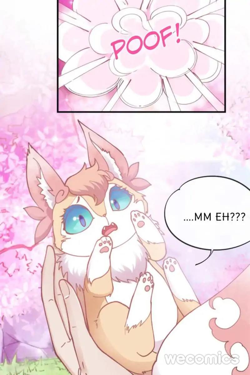 Page 35 of Chapter 51
