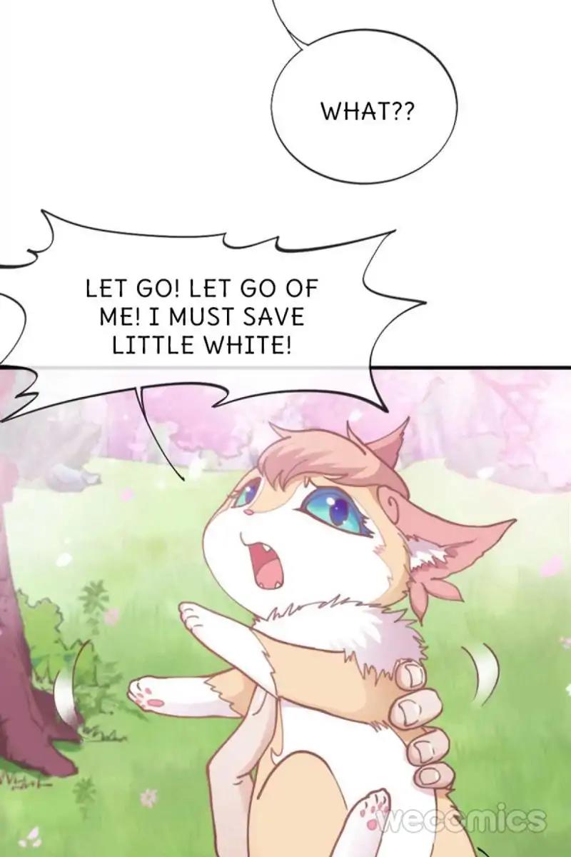 Page 18 of Chapter 52