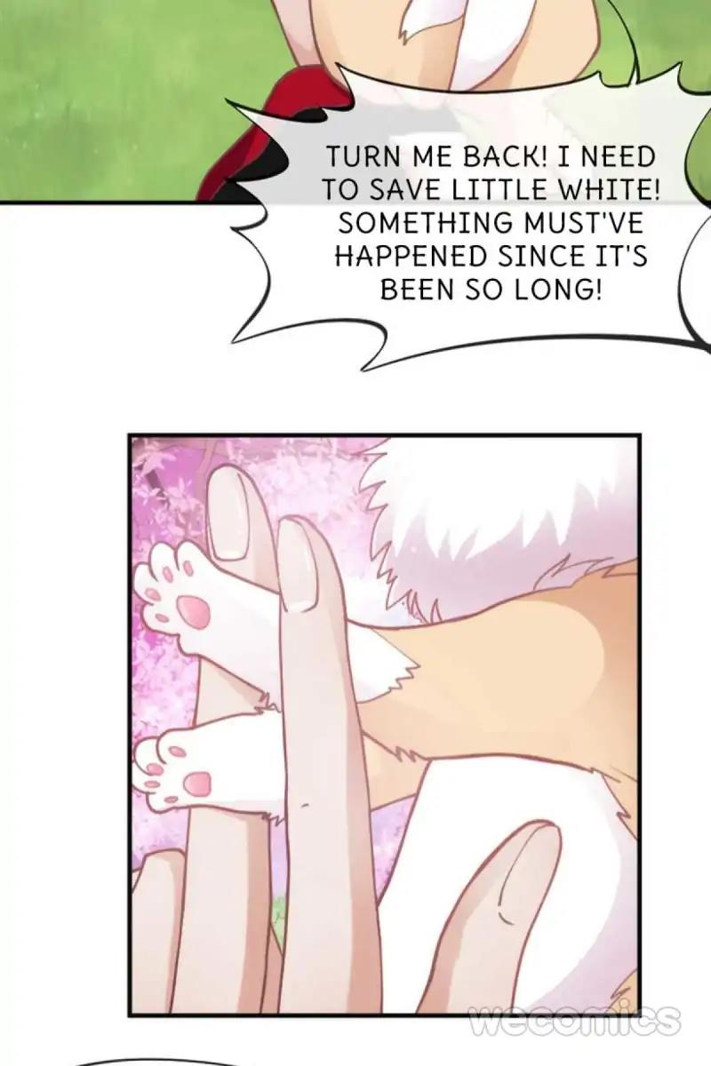 Page 19 of Chapter 52