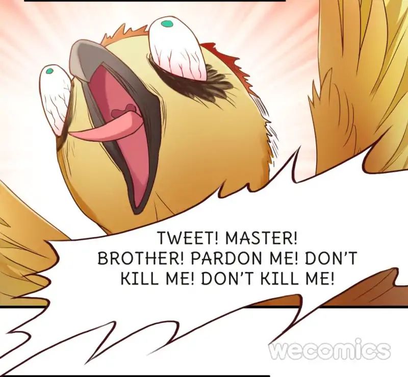 Page 13 of Chapter 8