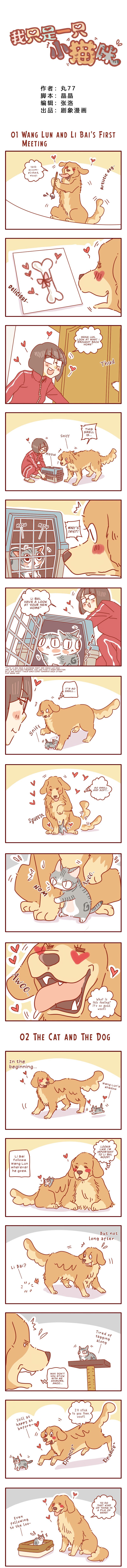 Page 2 of Chapter 1