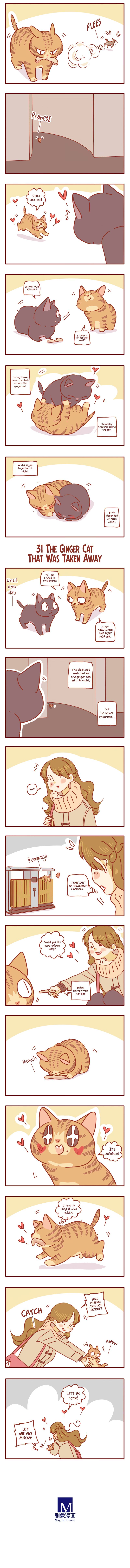 Page 3 of Chapter 10