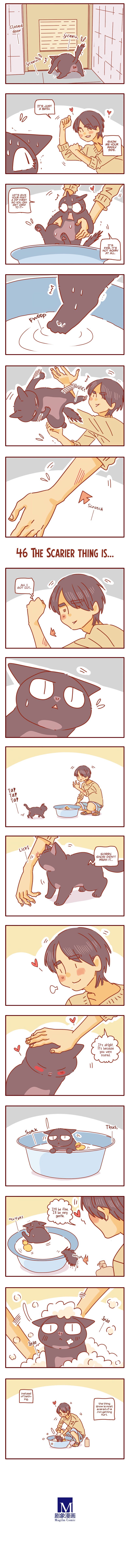 Page 2 of Chapter 15
