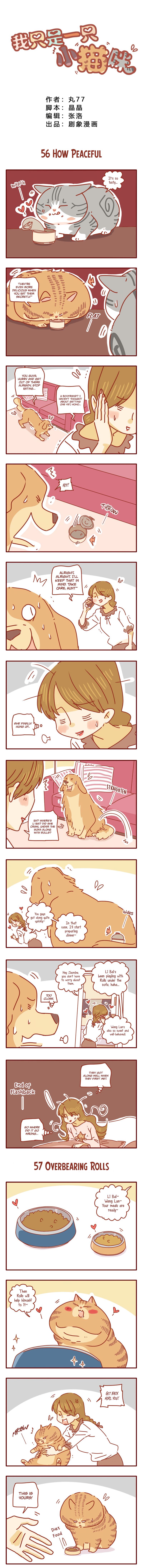 Page 1 of Chapter 19