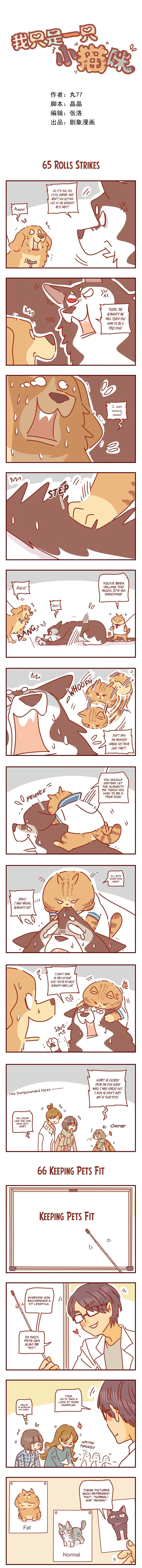 Page 1 of Chapter 22