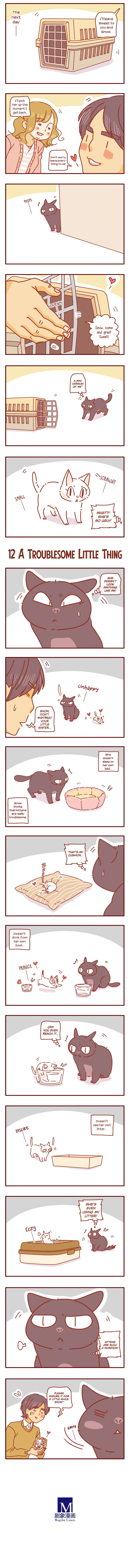 Page 3 of Chapter 4