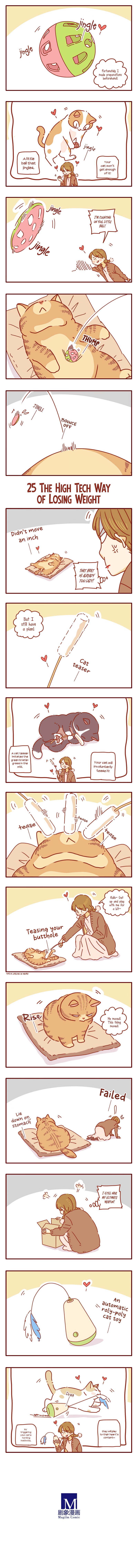 Page 3 of Chapter 8