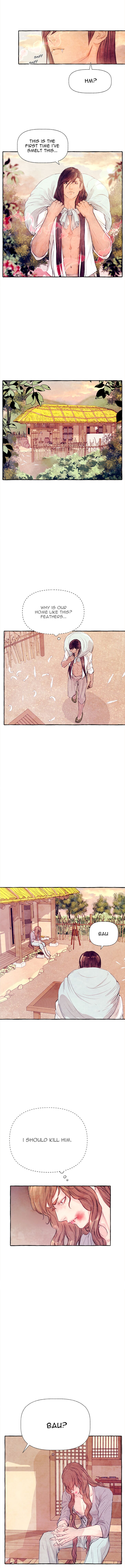 Page 11 of Chapter 11