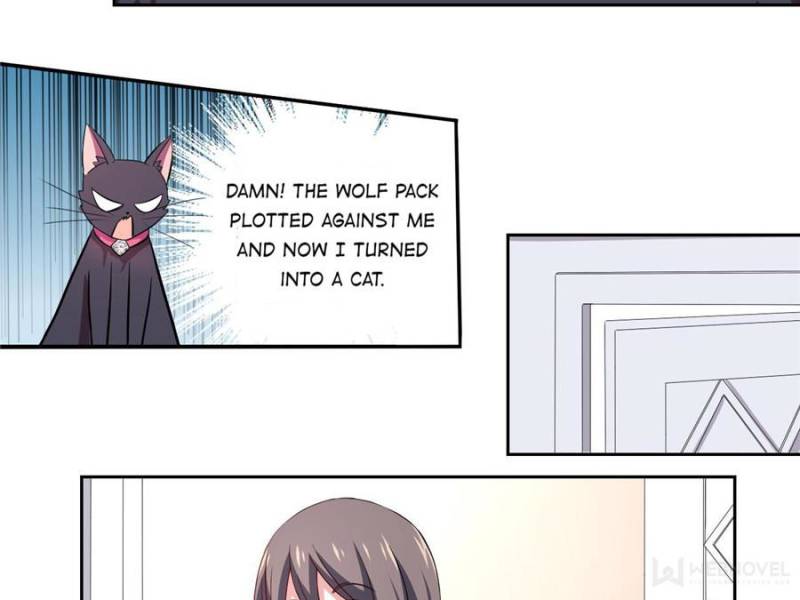 Page 8 of Chapter 1