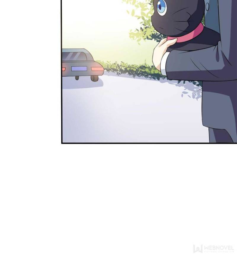 Page 39 of Chapter 15