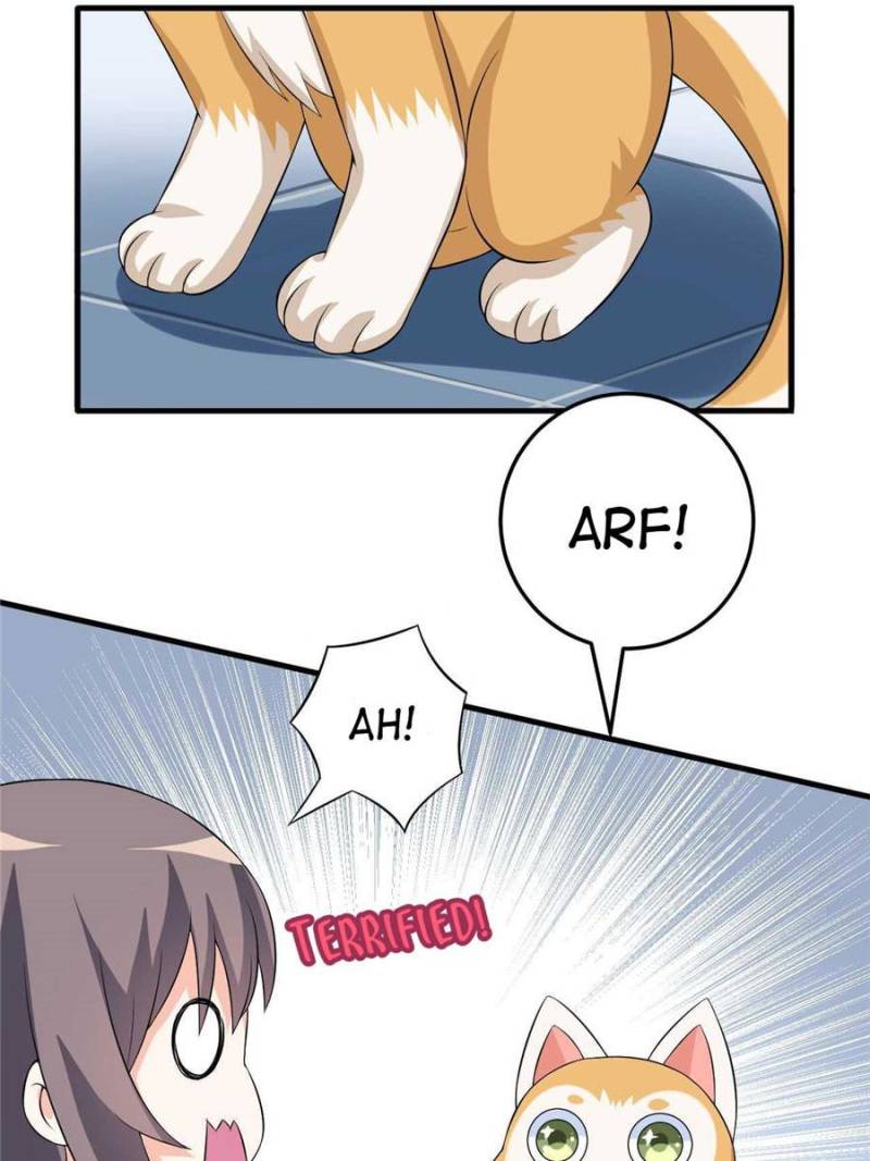 Page 11 of Chapter 25
