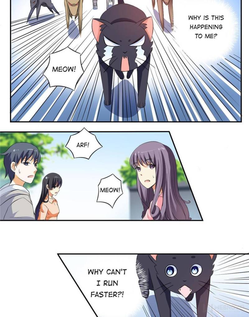 Page 8 of Chapter 3