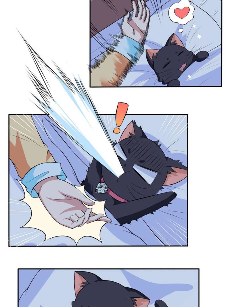 Page 3 of Chapter 6