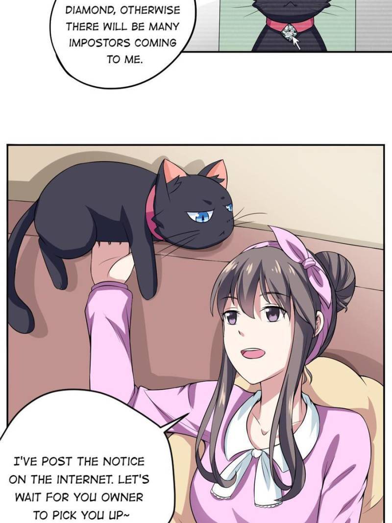 Page 8 of Chapter 6