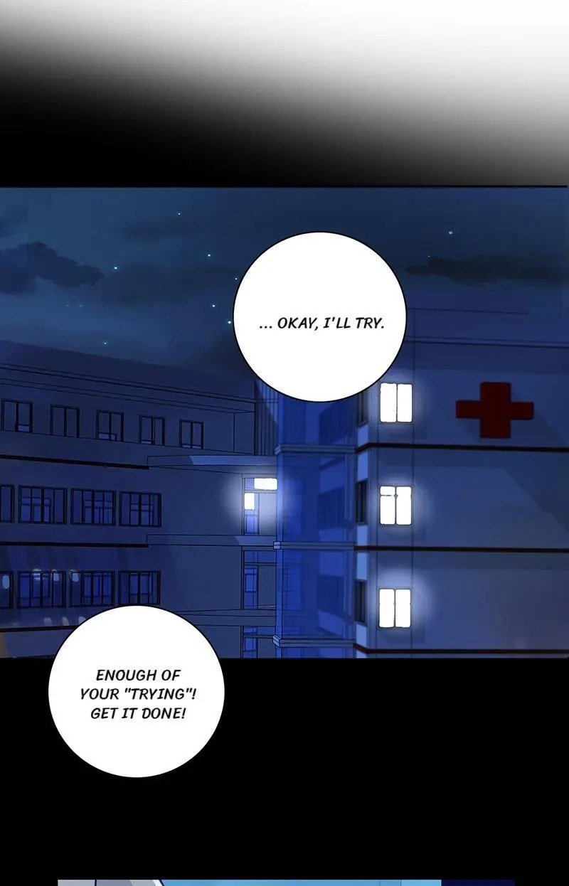 Page 7 of Chapter 284