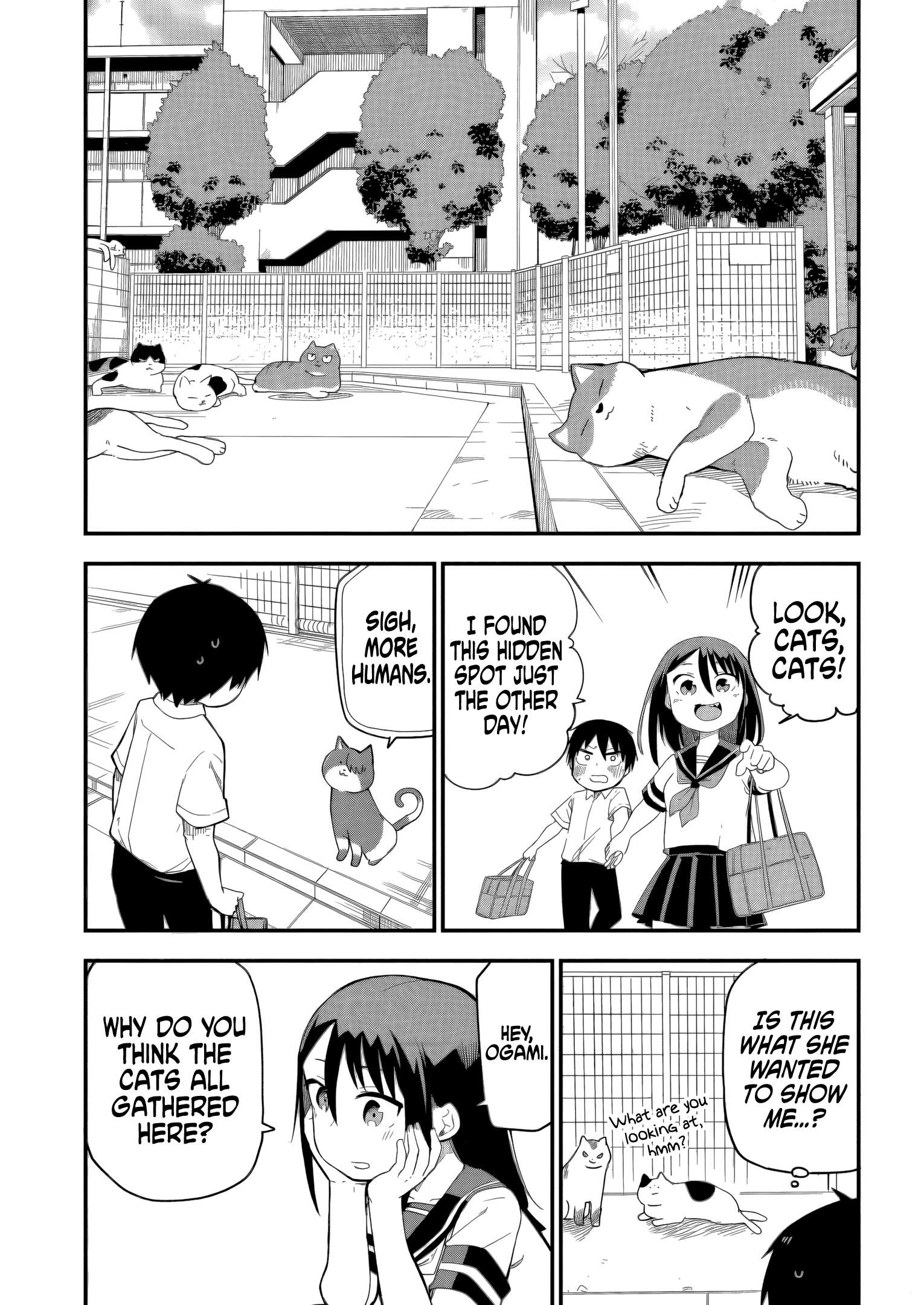 Page 5 of Chapter 17