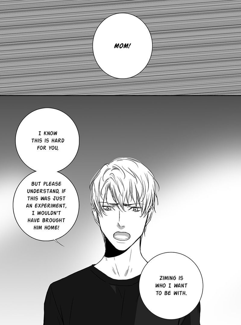 Page 4 of Chapter 85