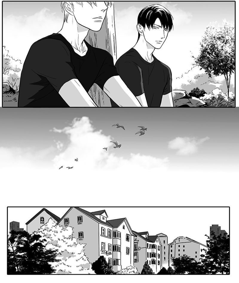 Page 17 of Chapter 85