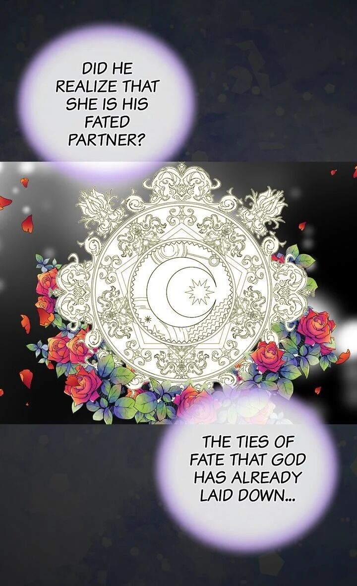 Page 51 of Chapter 111