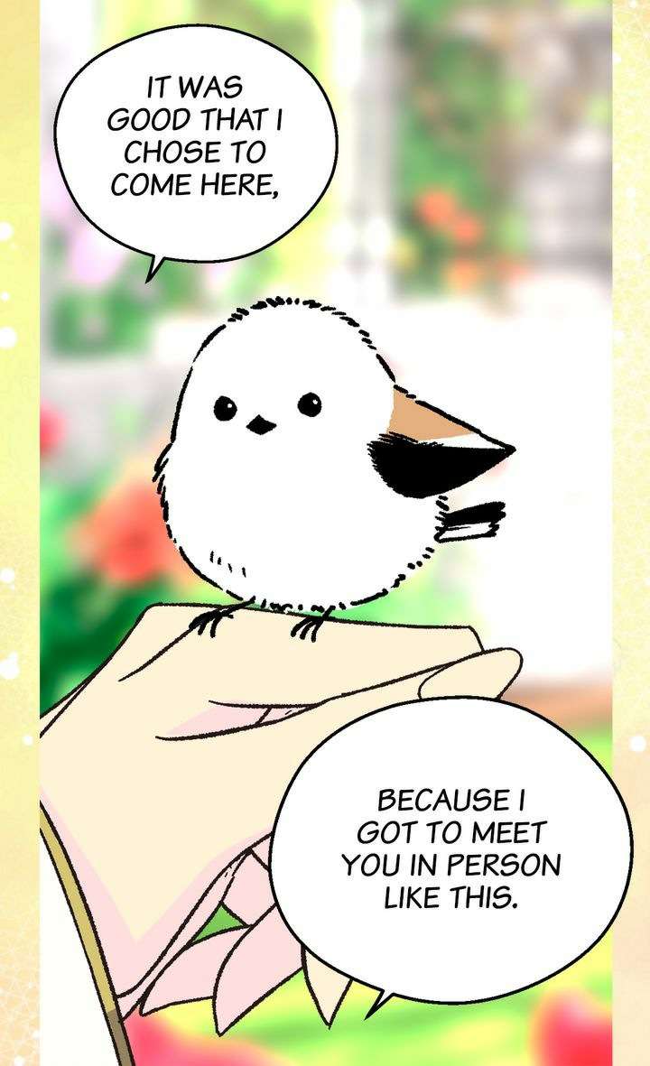 Page 14 of Chapter 119