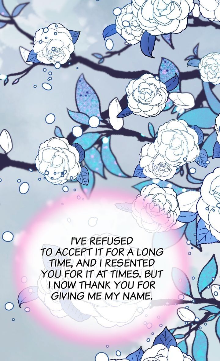 Page 65 of Chapter 145
