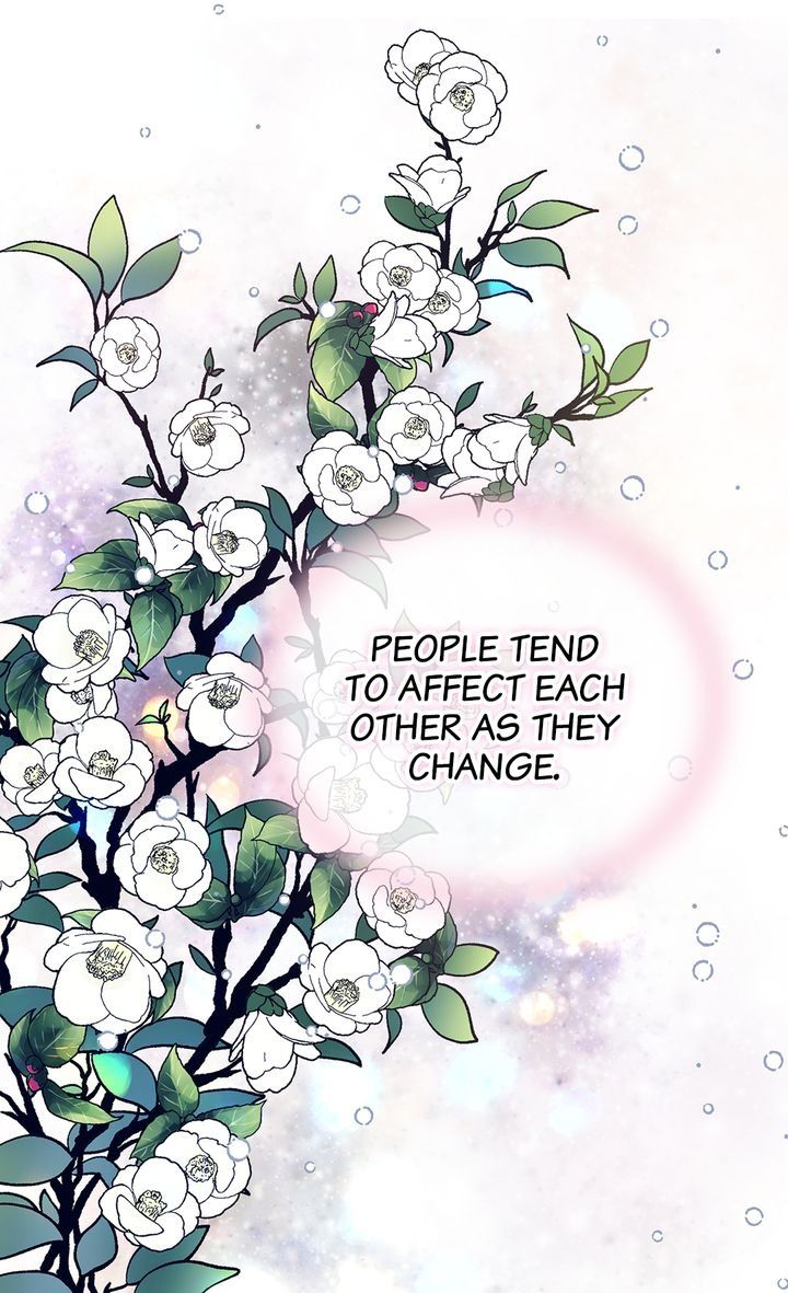 Page 17 of Chapter 81