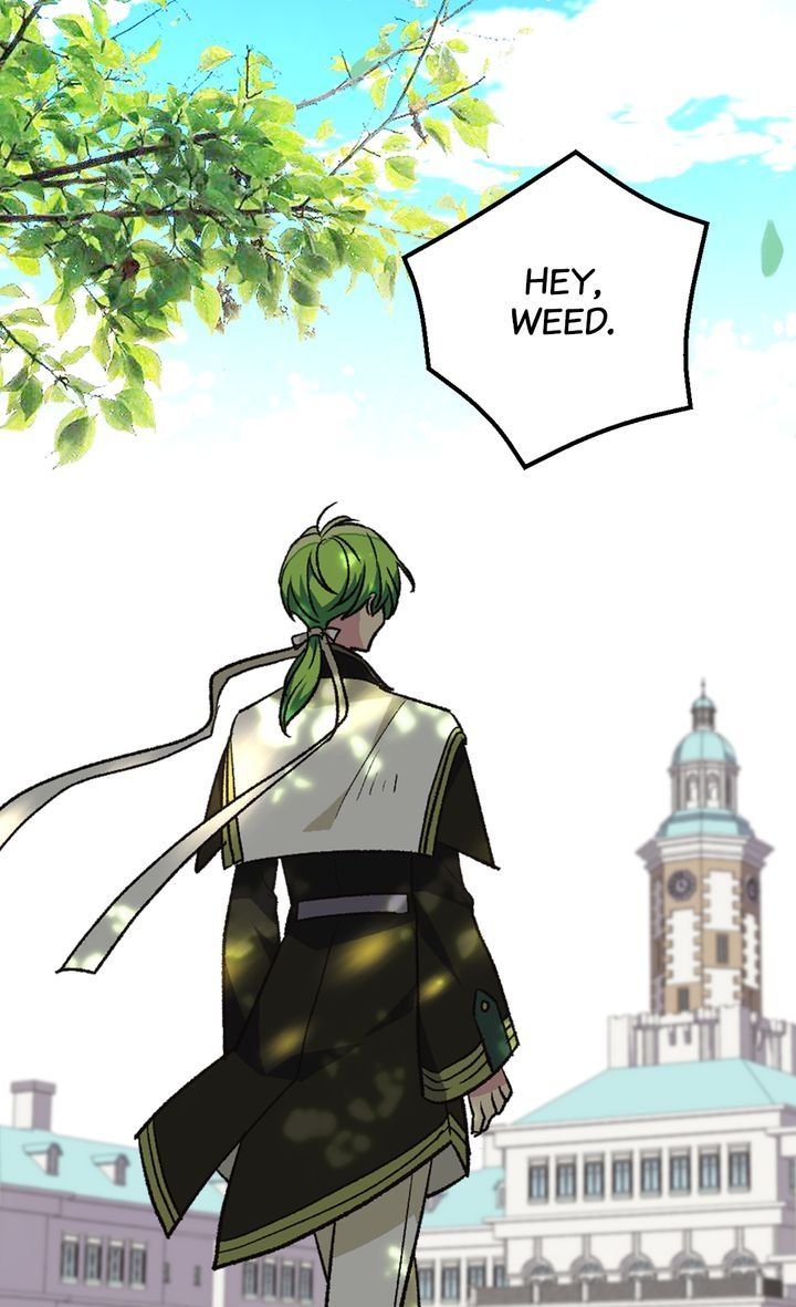 Page 29 of Chapter 81