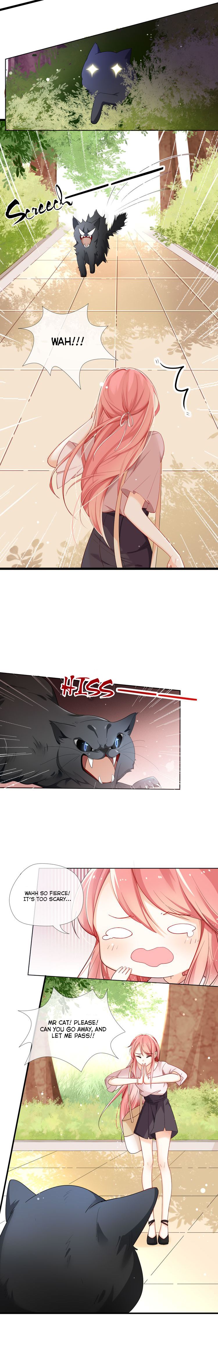 Page 5 of Chapter 1