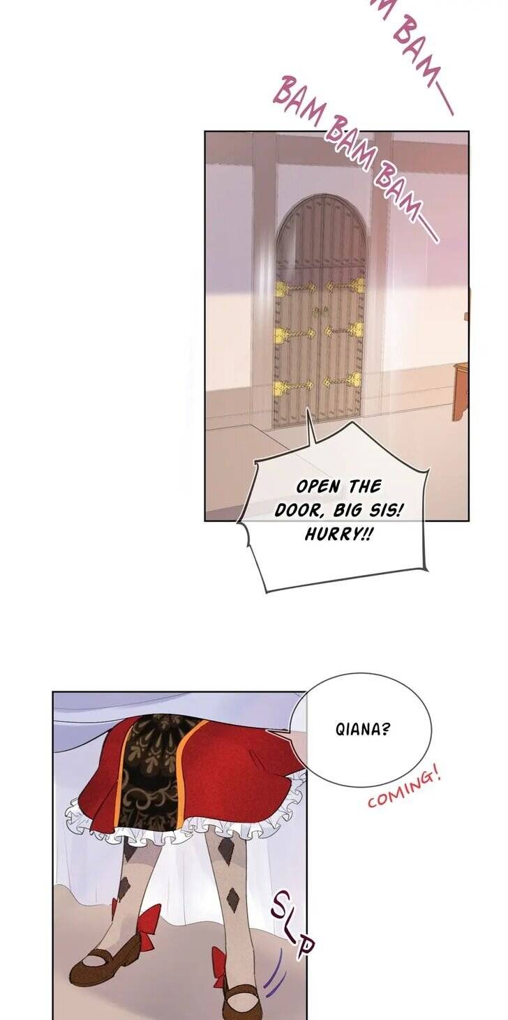 Page 5 of Chapter 11