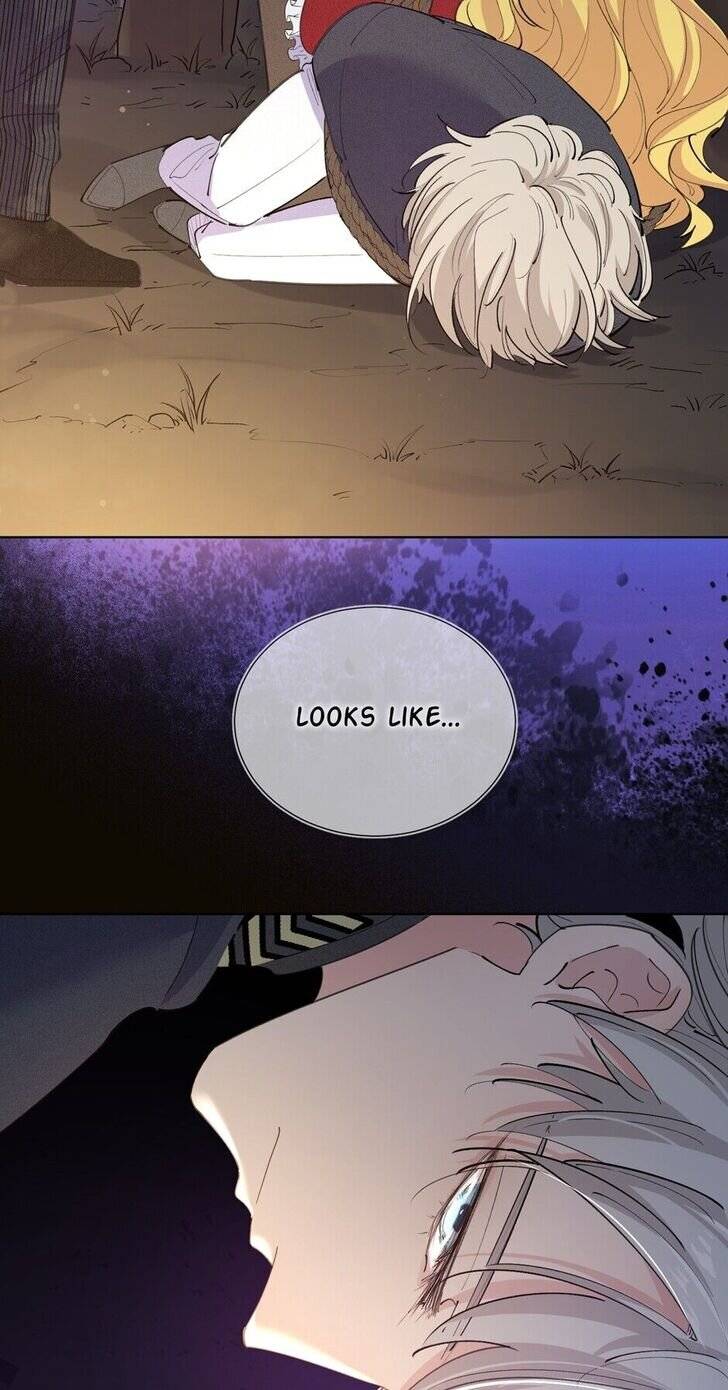 Page 41 of Chapter 6