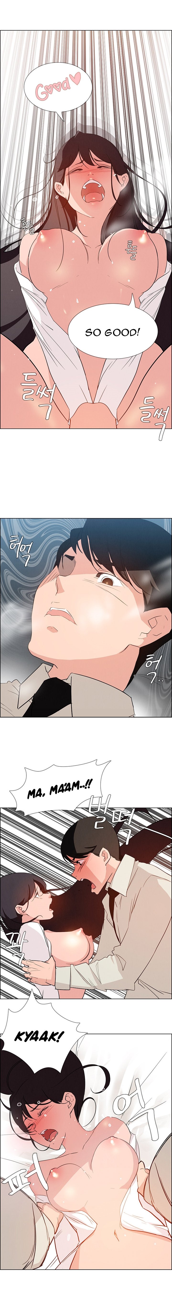 Page 15 of Chapter 19