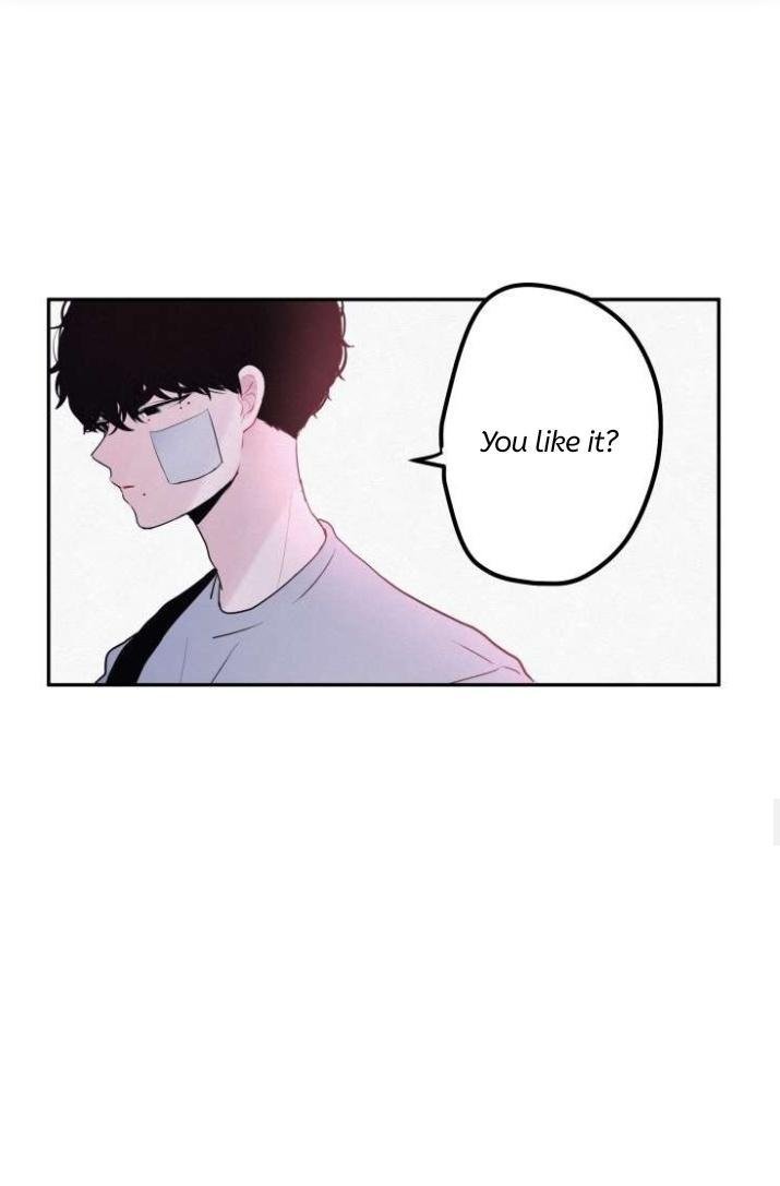 Page 20 of Chapter 15