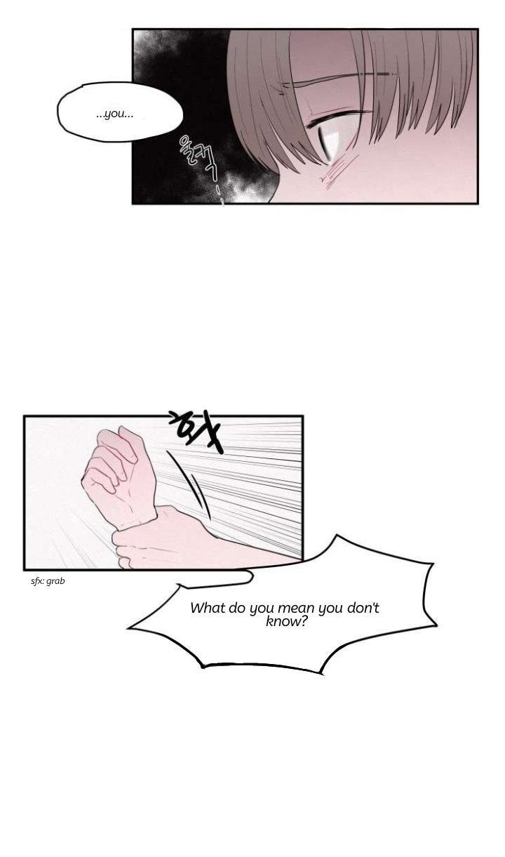 Page 13 of Chapter 19