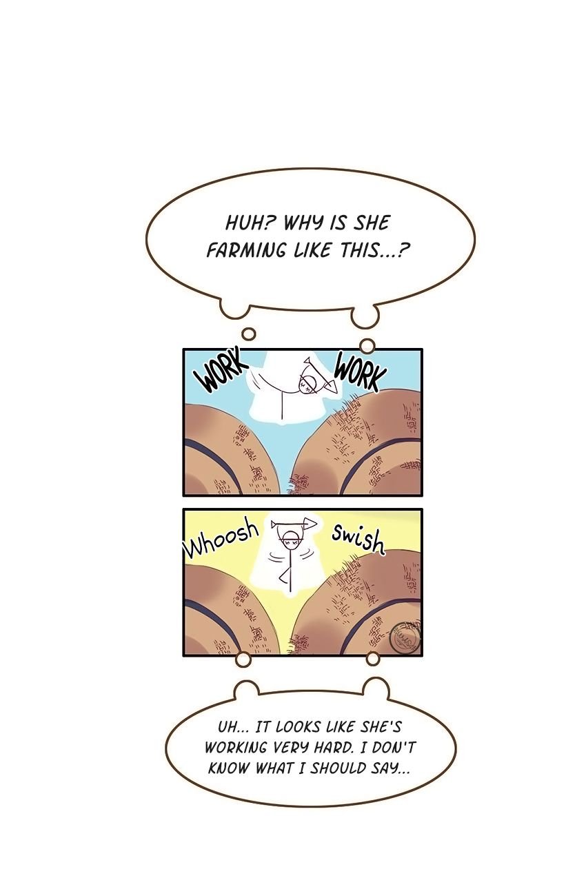 Page 13 of Chapter 17