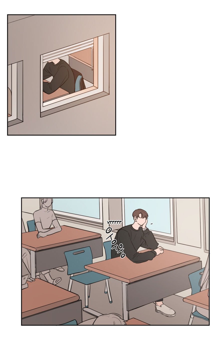 Page 13 of Chapter 12