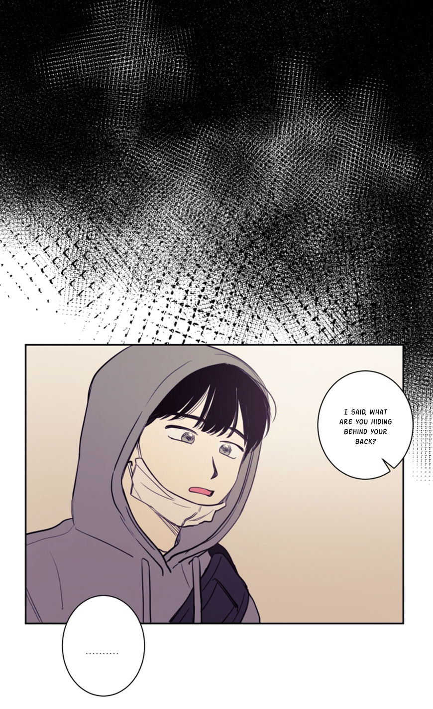 Page 28 of Chapter 17