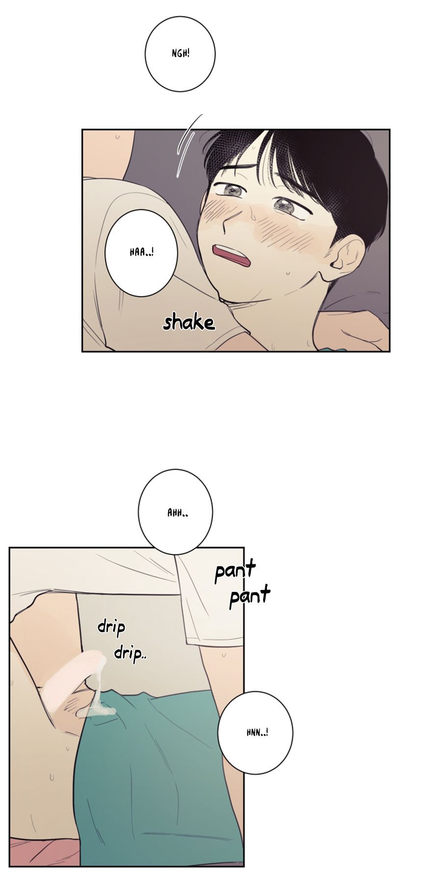 Page 5 of Chapter 19
