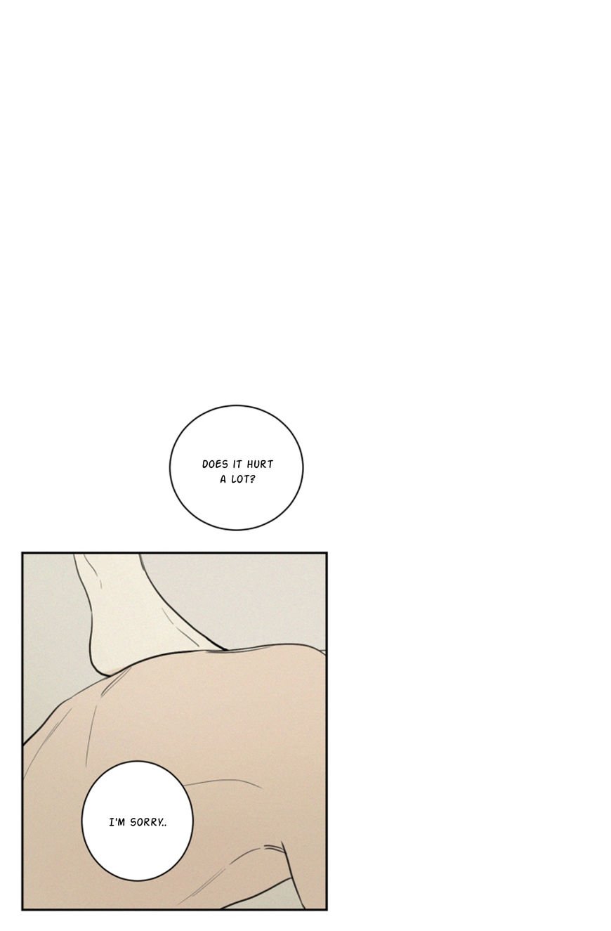 Page 5 of Chapter 22