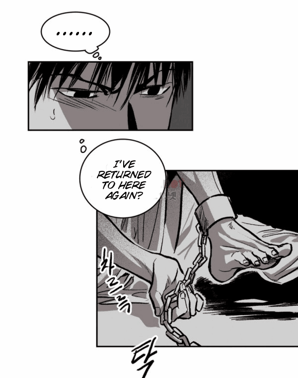 Page 13 of Chapter 15