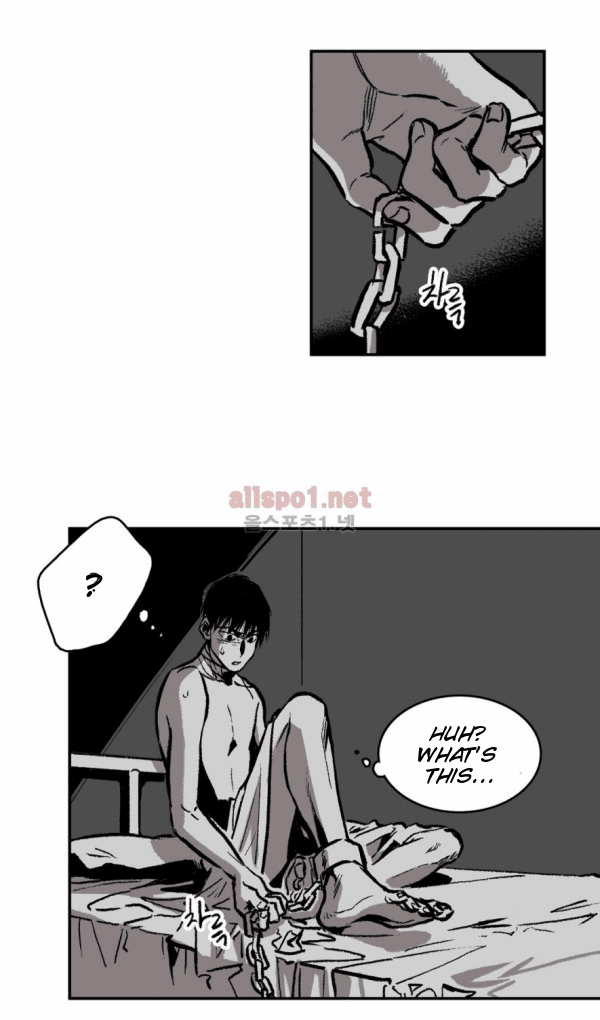 Page 15 of Chapter 15