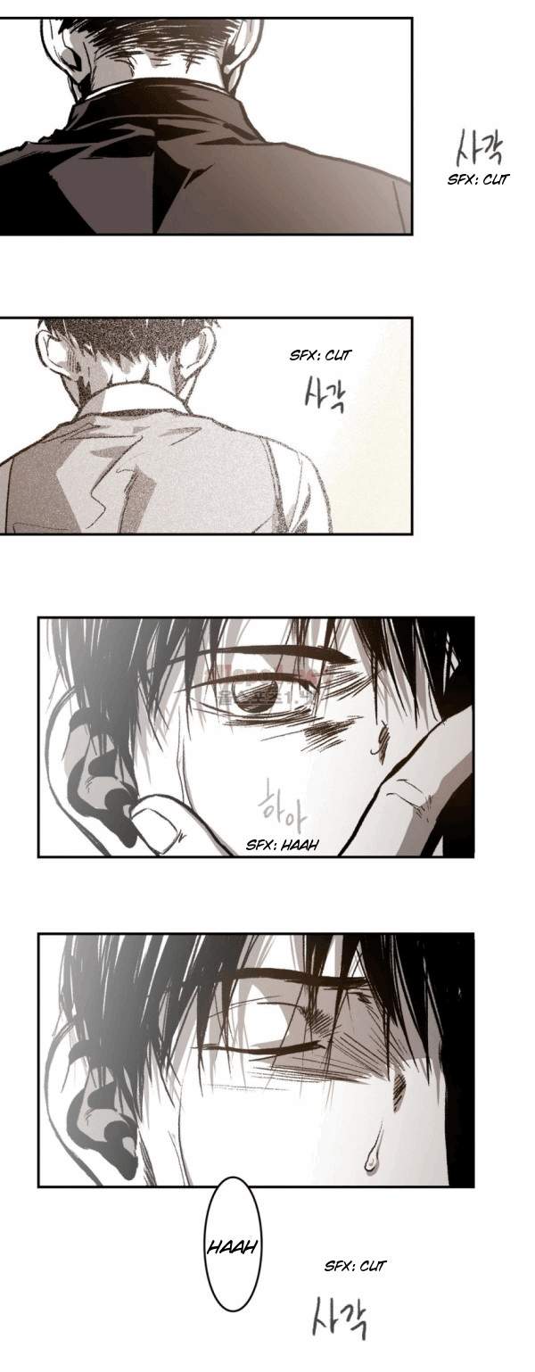 Page 40 of Chapter 15