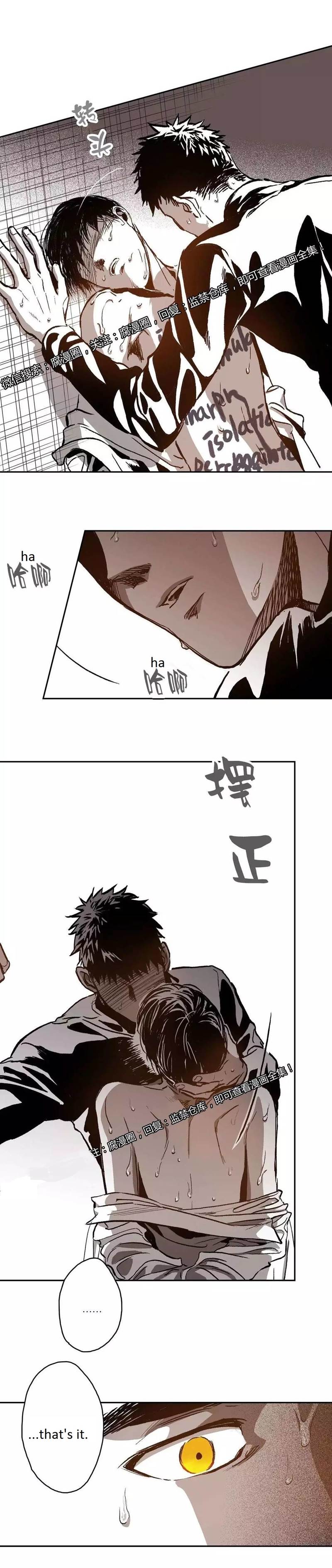 Page 28 of Chapter 29