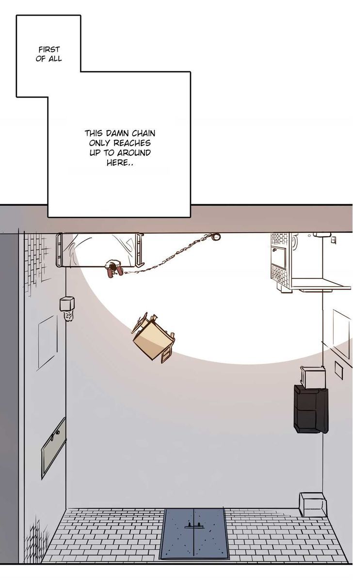 Page 17 of Chapter 5