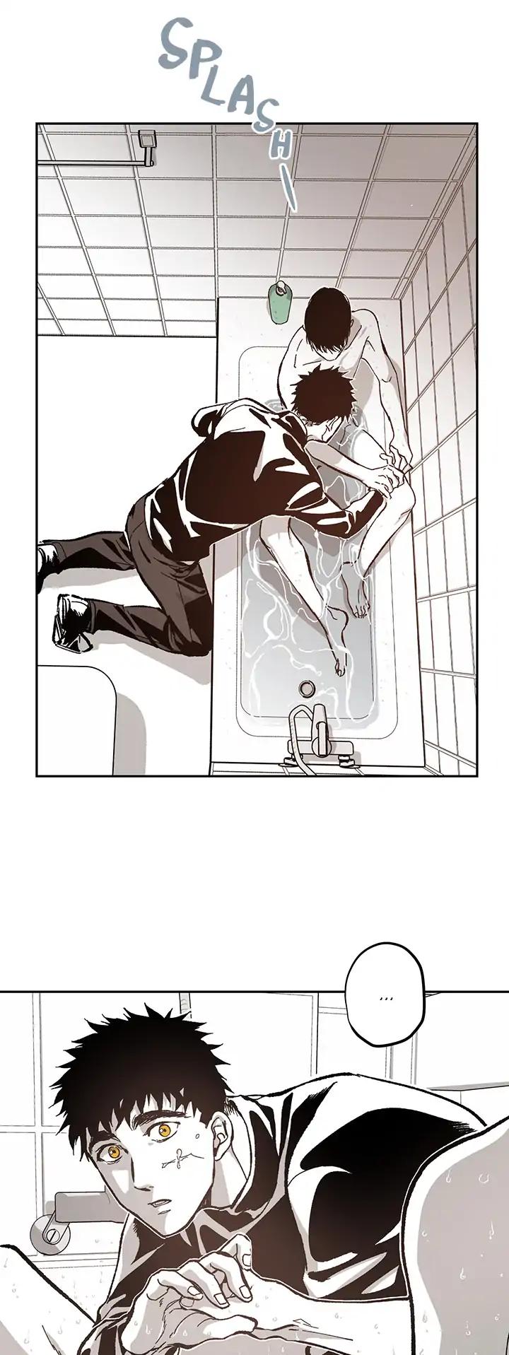 Page 19 of Chapter 52
