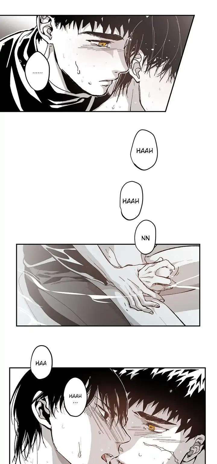 Page 27 of Chapter 52
