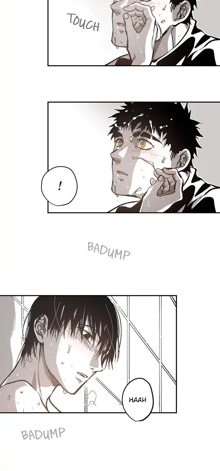 Page 34 of Chapter 52