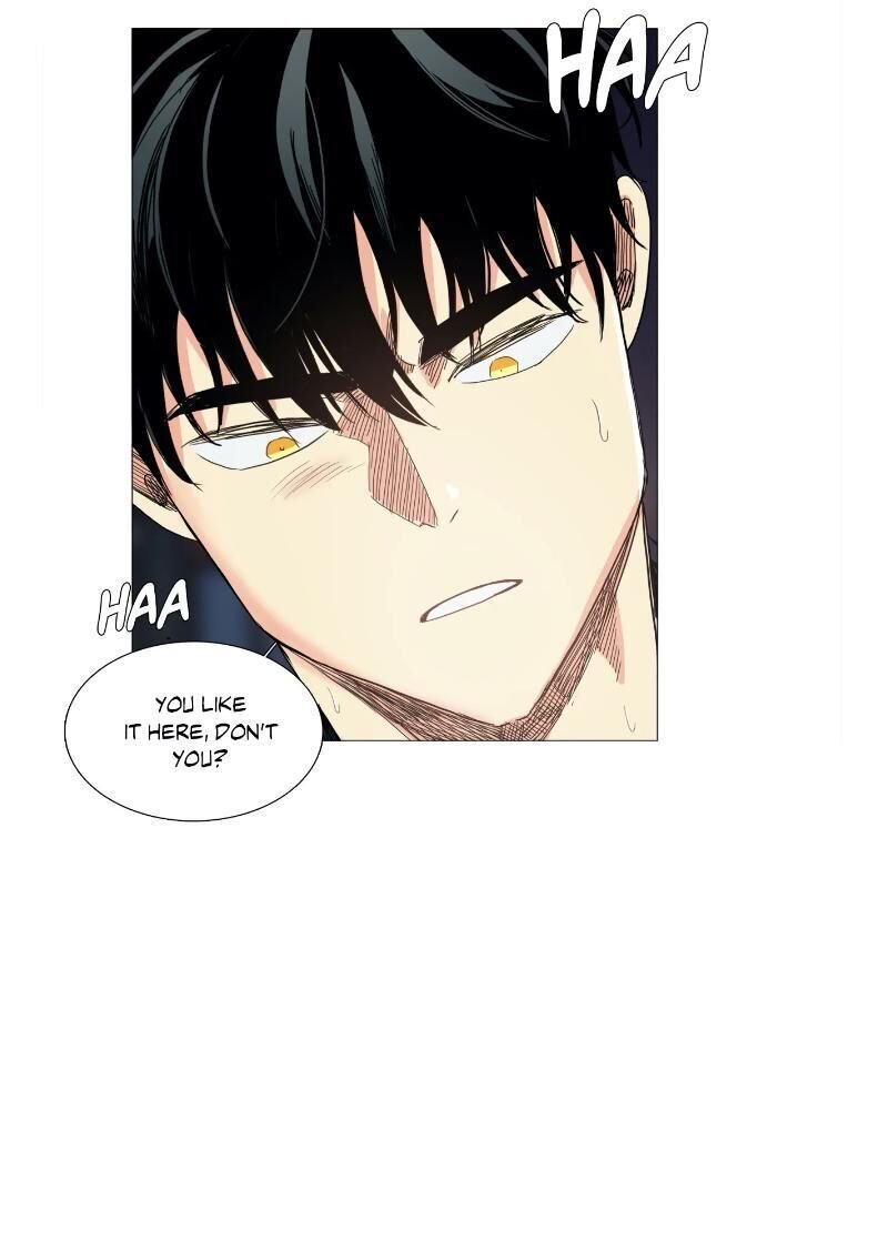 Page 43 of Chapter 14
