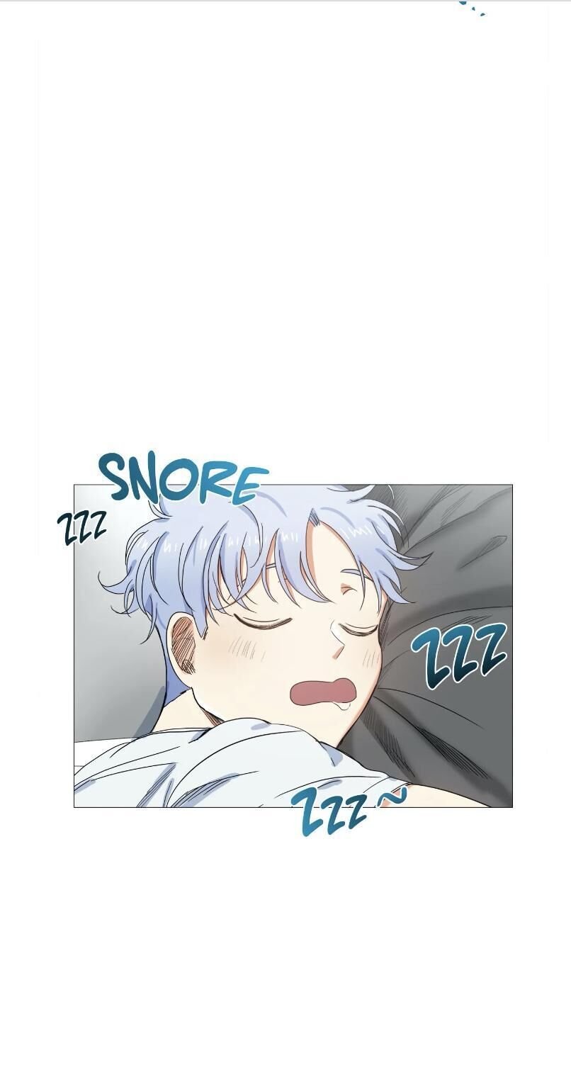 Page 13 of Chapter 15