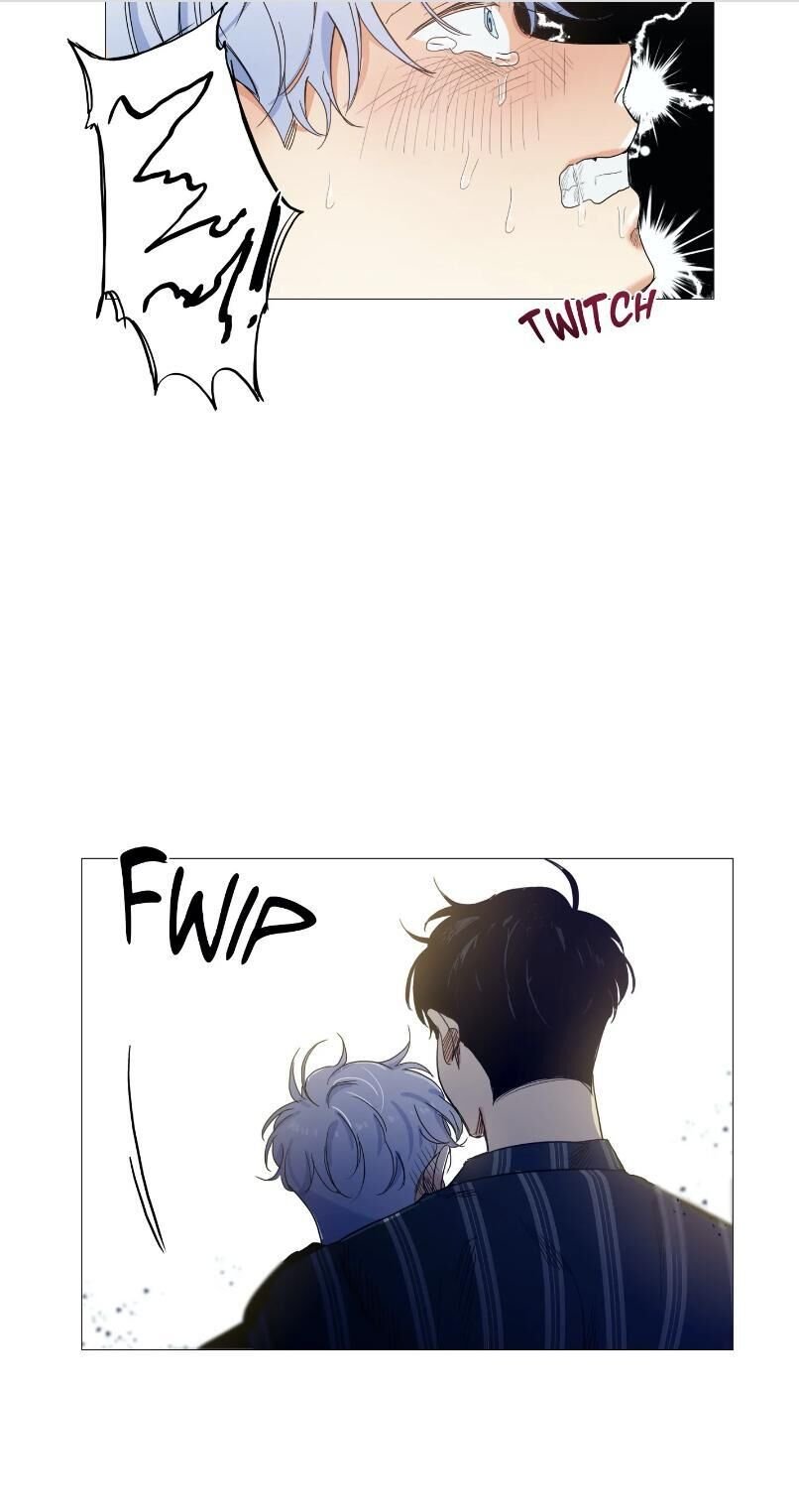 Page 17 of Chapter 15